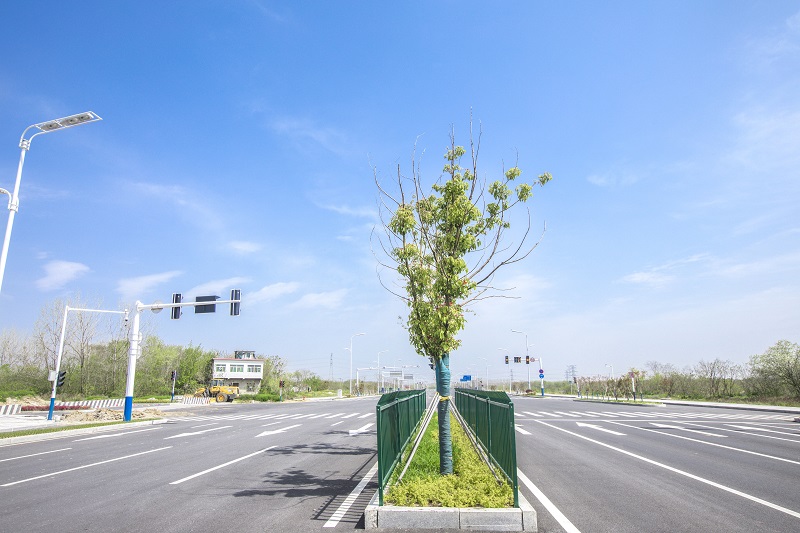 項王路道路工程